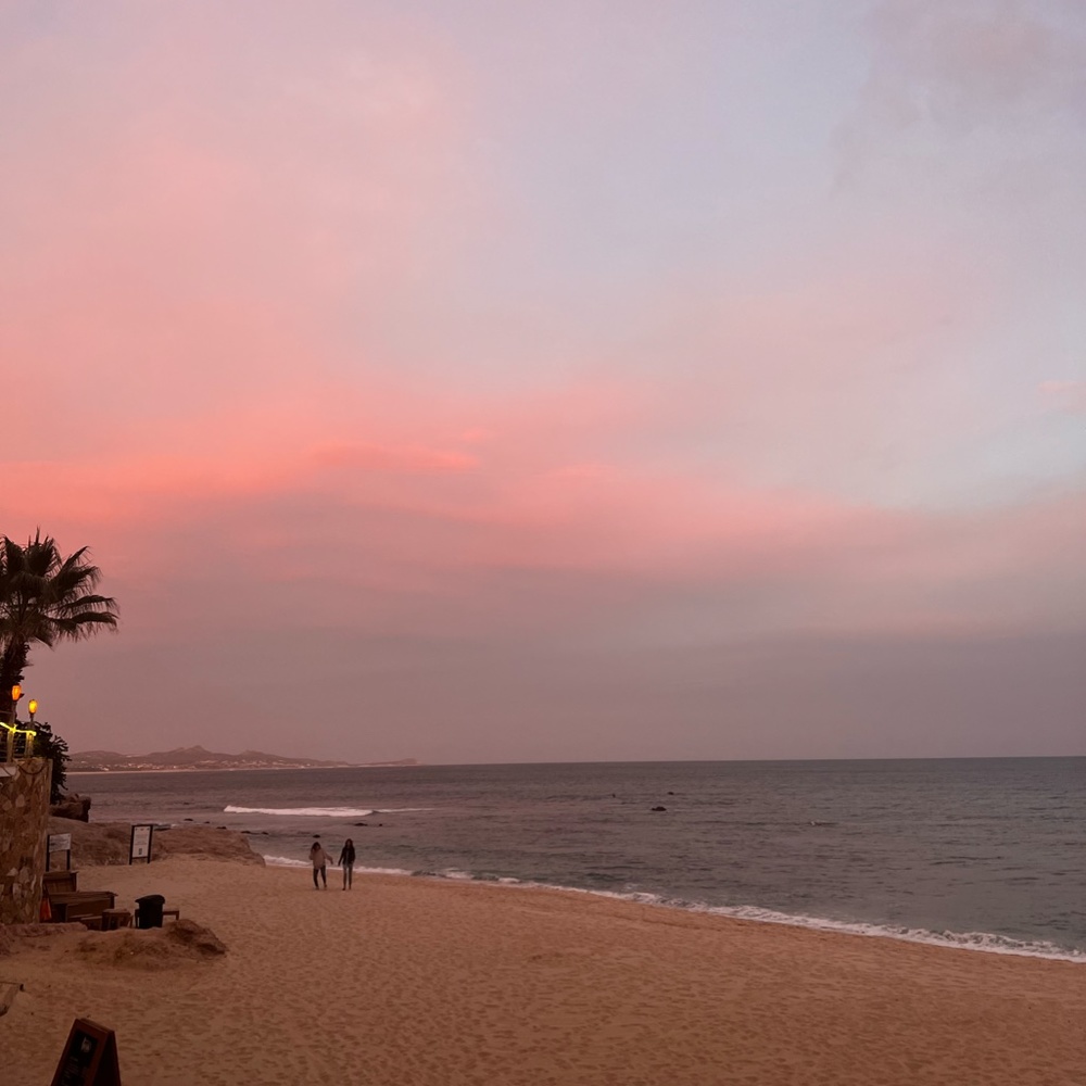 Meet your Posher, Summer